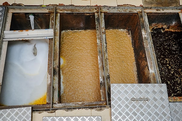 neglecting grease trap maintenance can lead to costly plumbing repairs and disruptions to your operations